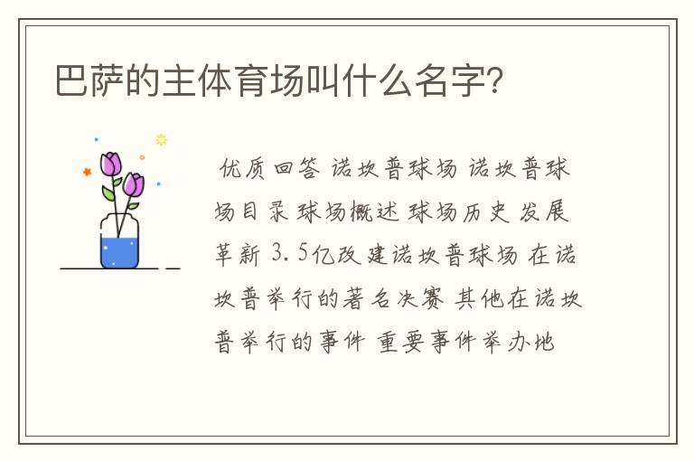 巴萨的主体育场叫什么名字?