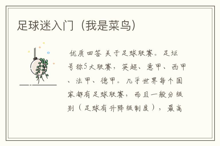 足球迷入门(我是菜鸟)