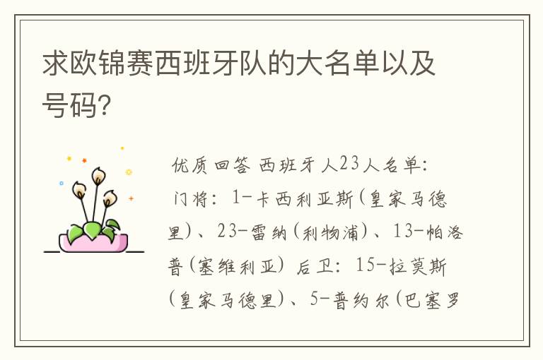 求欧锦赛西班牙队的大名单以及号码？