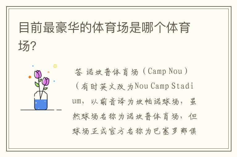 目前最豪华的体育场是哪个体育场?