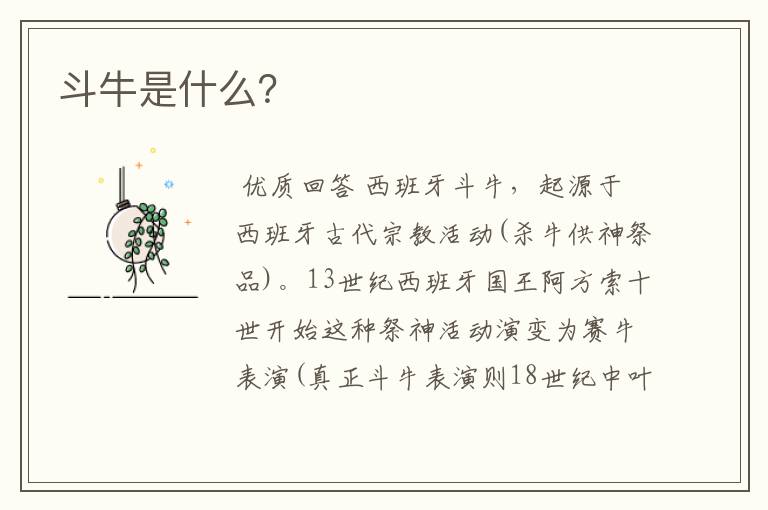 斗牛是什么?