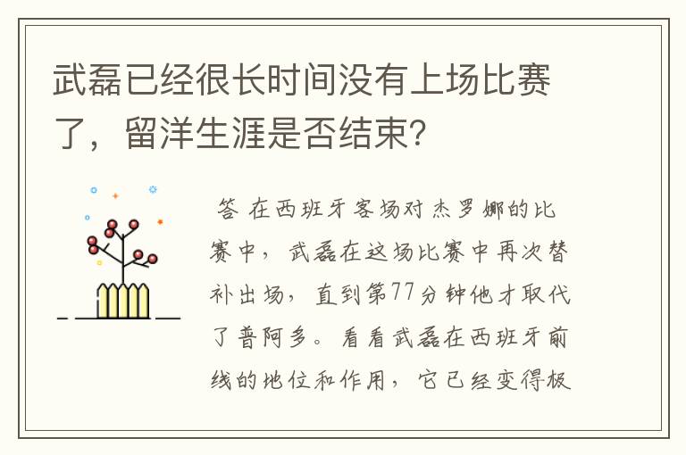 武磊已经很长时间没有上场比赛了,留洋生涯是否结束?