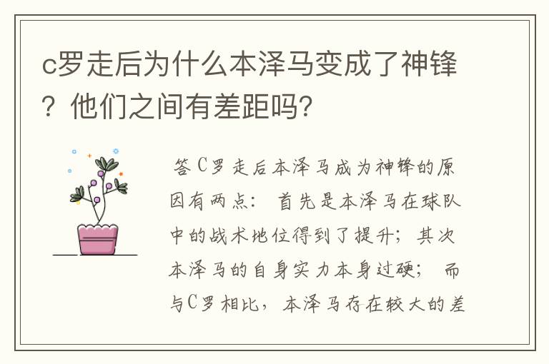 c罗走后为什么本泽马变成了神锋?他们之间有差距吗?