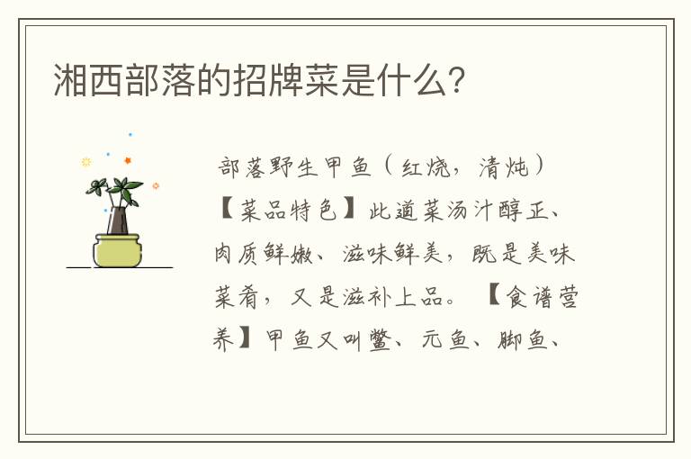湘西部落的招牌菜是什么？