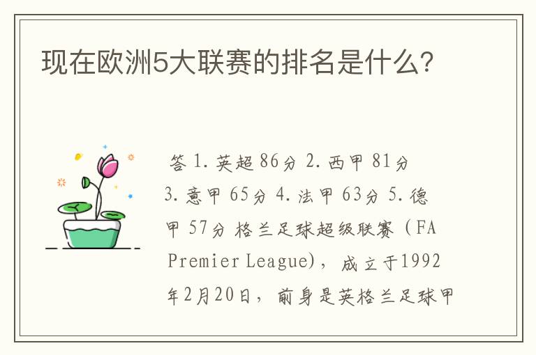 现在欧洲5大联赛的排名是什么?
