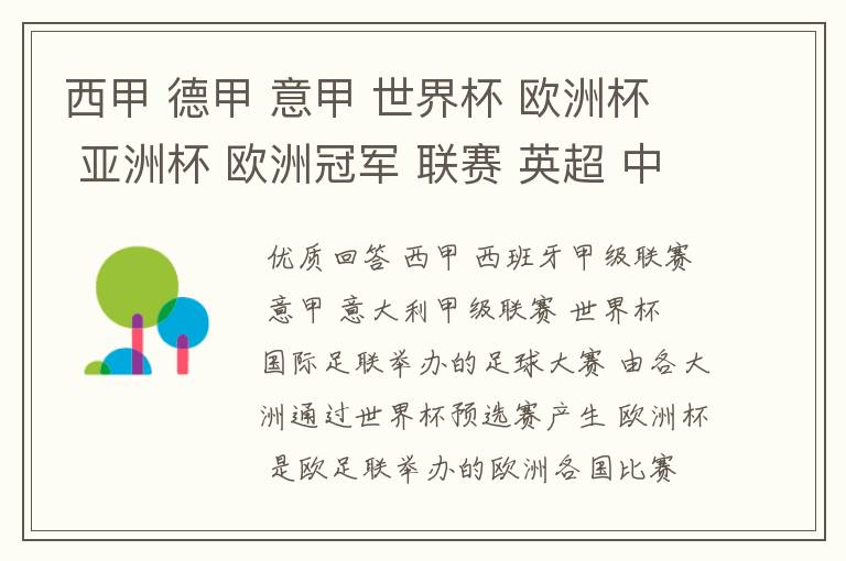 西甲 德甲 意甲 世界杯 欧洲杯 亚洲杯 欧洲冠军 联赛 英超 中超 分别是什么意思啊?