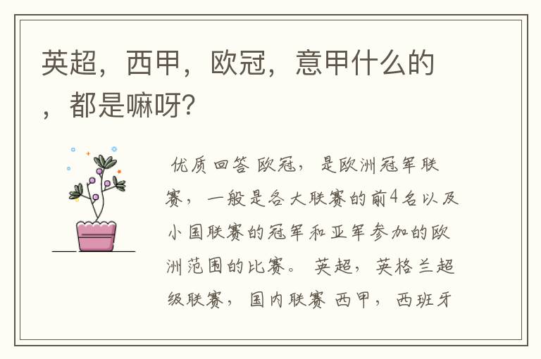 英超,西甲,欧冠,意甲什么的,都是嘛呀?