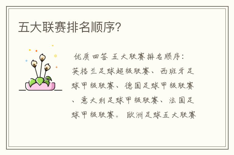 五大联赛排名顺序?