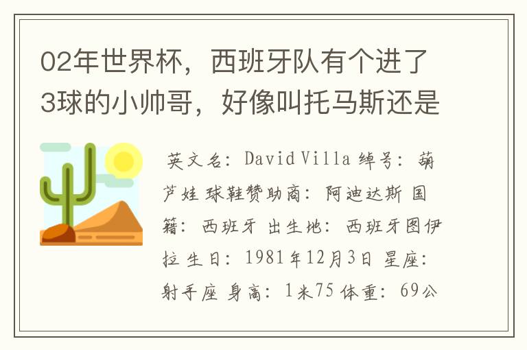 02年世界杯,西班牙队有个进了3球的小帅哥,好像叫托马斯还是什么,有人知道他的资料不?