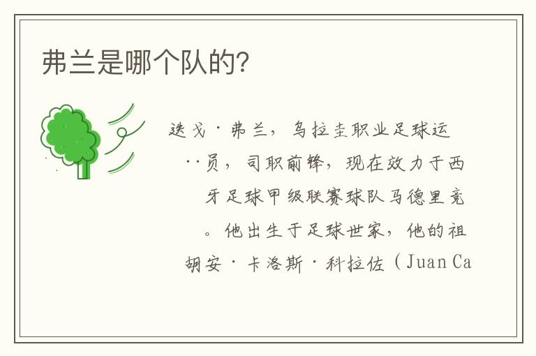 弗兰是哪个队的?