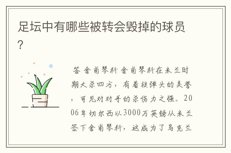 足坛中有哪些被转会毁掉的球员?