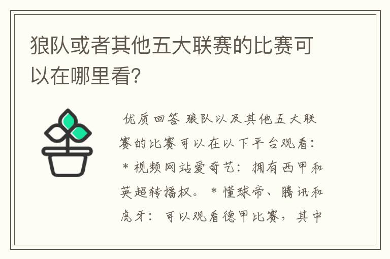 狼队或者其他五大联赛的比赛可以在哪里看?