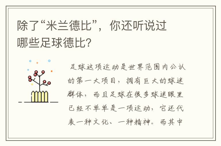 除了“米兰德比”,你还听说过哪些足球德比?