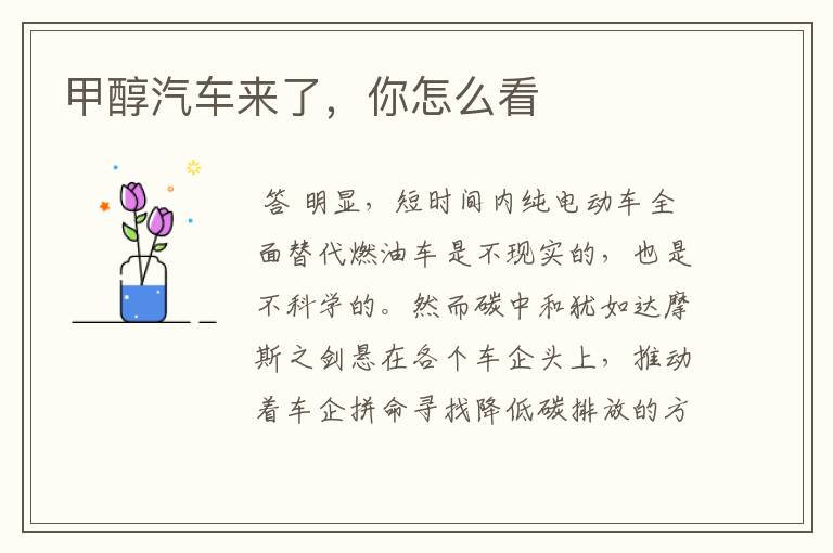 甲醇汽车来了,你怎么看