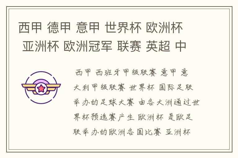 西甲 德甲 意甲 世界杯 欧洲杯 亚洲杯 欧洲冠军 联赛 英超 中超 分别是什么意思啊?