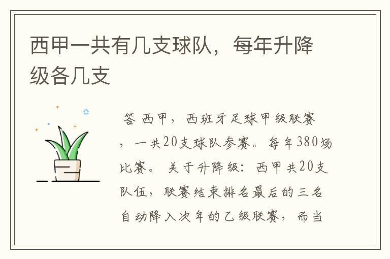 西甲一共有几支球队,每年升降级各几支