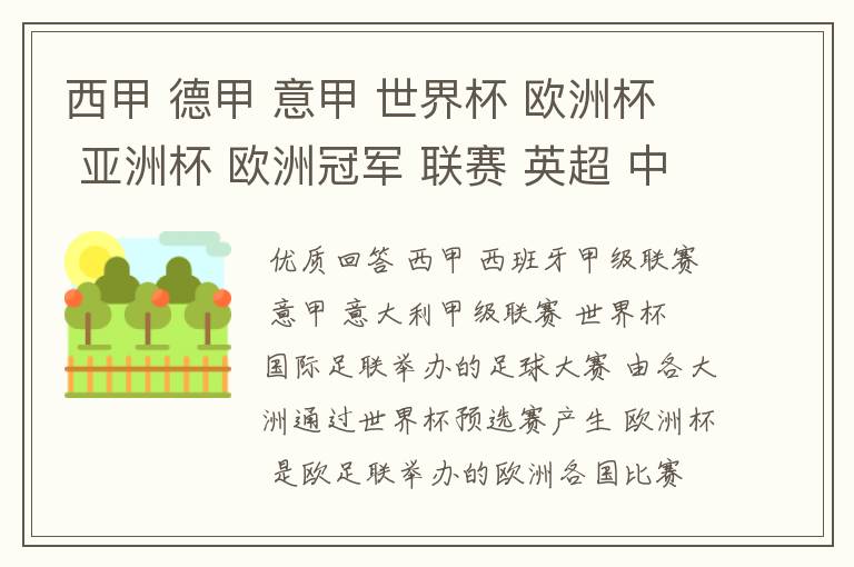 西甲 德甲 意甲 世界杯 欧洲杯 亚洲杯 欧洲冠军 联赛 英超 中超 分别是什么意思啊?