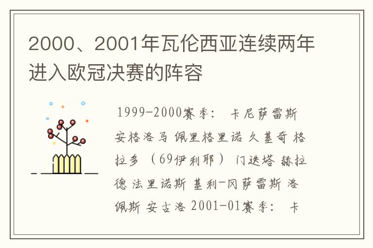 2000、2001年瓦伦西亚连续两年进入欧冠决赛的阵容