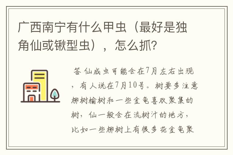 广西南宁有什么甲虫(最好是独角仙或锹型虫),怎么抓?