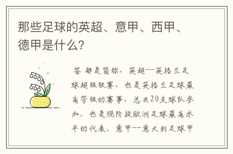 那些足球的英超、意甲、西甲、德甲是什么?