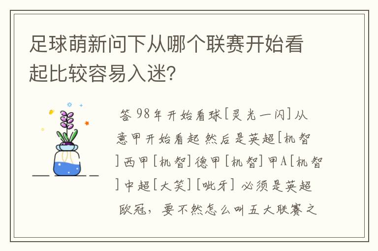 足球萌新问下从哪个联赛开始看起比较容易入迷?