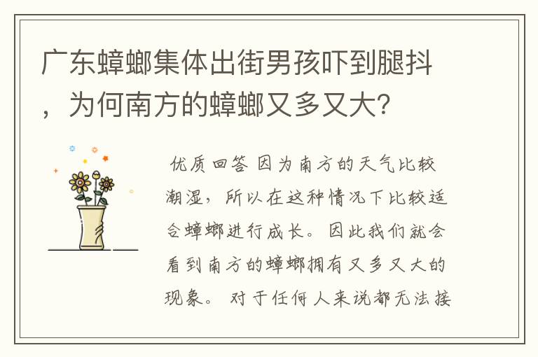 广东蟑螂集体出街男孩吓到腿抖,为何南方的蟑螂又多又大?