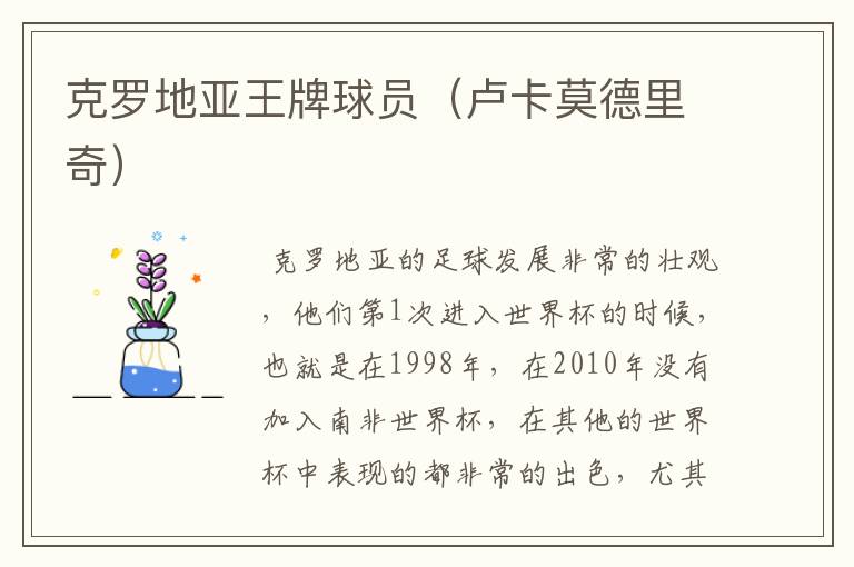 克罗地亚王牌球员(卢卡莫德里奇)