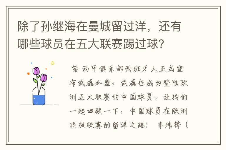 除了孙继海在曼城留过洋,还有哪些球员在五大联赛踢过球?