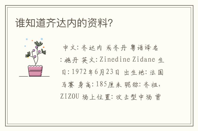 谁知道齐达内的资料?
