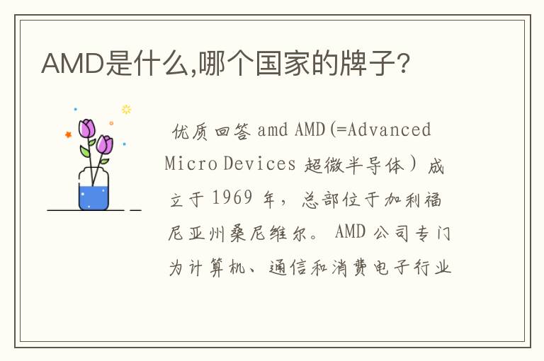 AMD是什么,哪个国家的牌子?