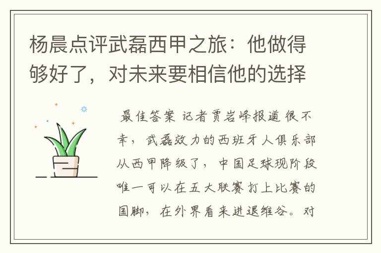 杨晨点评武磊西甲之旅:他做得够好了,对未来要相信他的选择