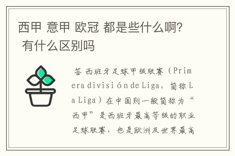 西甲 意甲 欧冠 都是些什么啊? 有什么区别吗