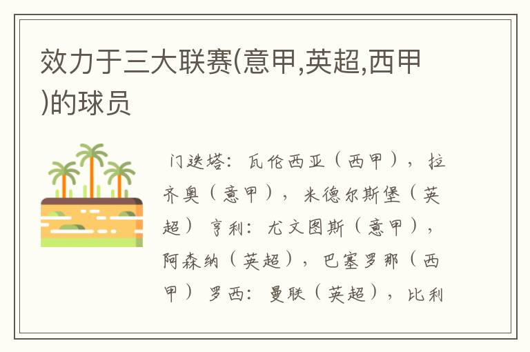 效力于三大联赛(意甲,英超,西甲)的球员