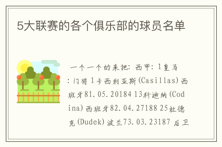 5大联赛的各个俱乐部的球员名单