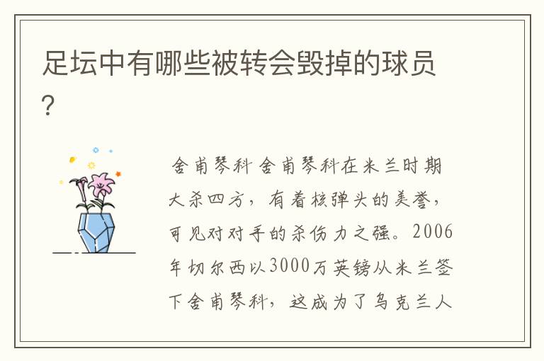 足坛中有哪些被转会毁掉的球员?