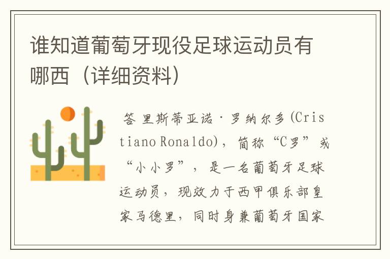 谁知道葡萄牙现役足球运动员有哪西(详细资料)