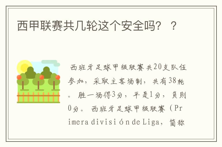 西甲联赛共几轮这个安全吗? ?