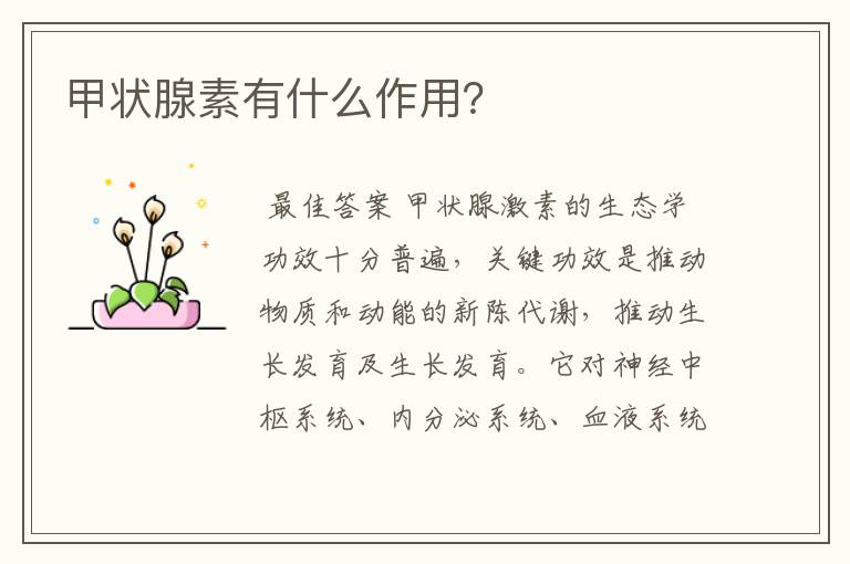 甲状腺素有什么作用?