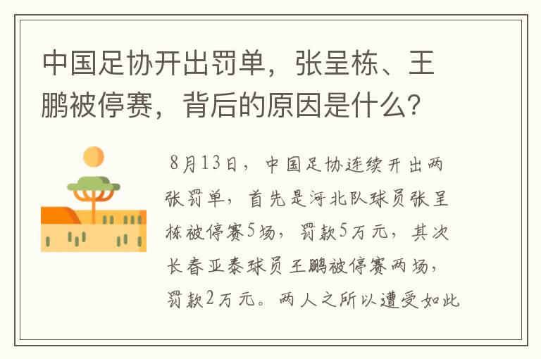 中国足协开出罚单,张呈栋、王鹏被停赛,背后的原因是什么?