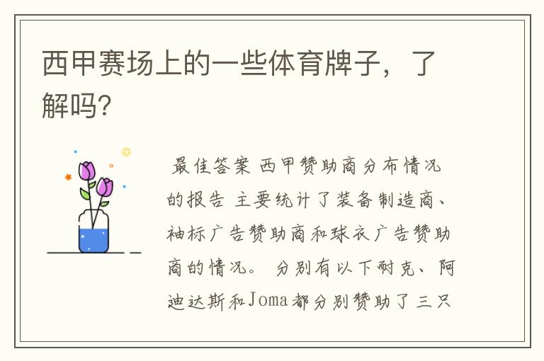 西甲赛场上的一些体育牌子,了解吗?