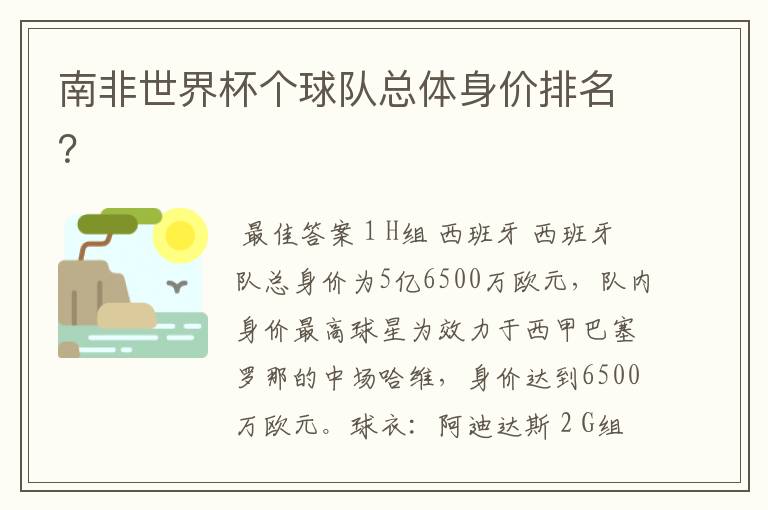 南非世界杯个球队总体身价排名?