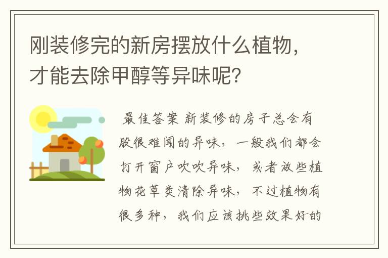 刚装修完的新房摆放什么植物,才能去除甲醇等异味呢?