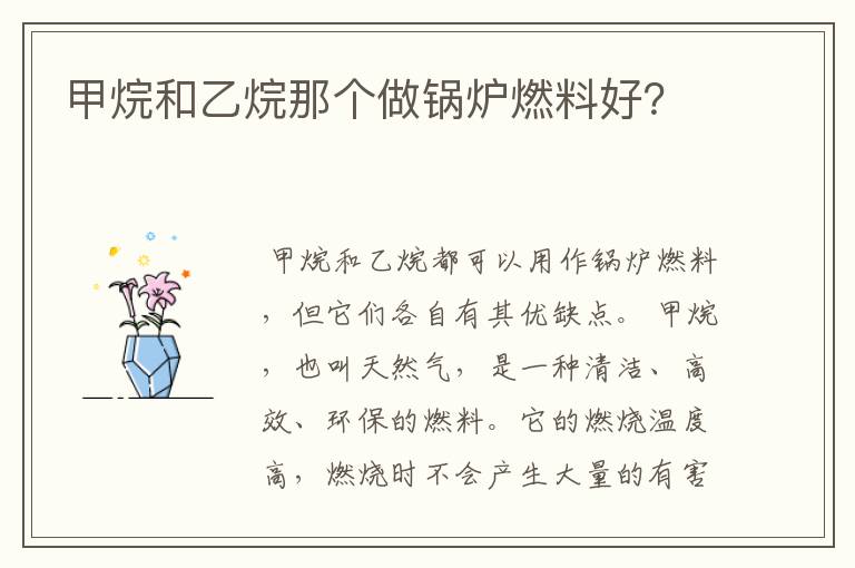 甲烷和乙烷那个做锅炉燃料好?