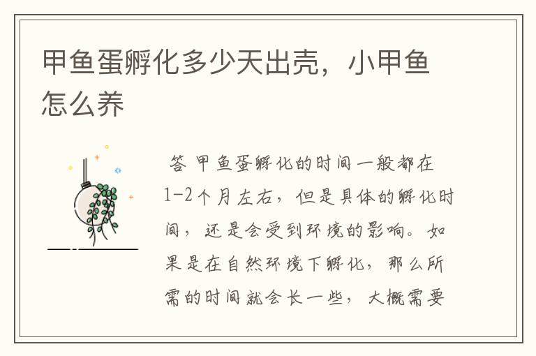 甲鱼蛋孵化多少天出壳,小甲鱼怎么养
