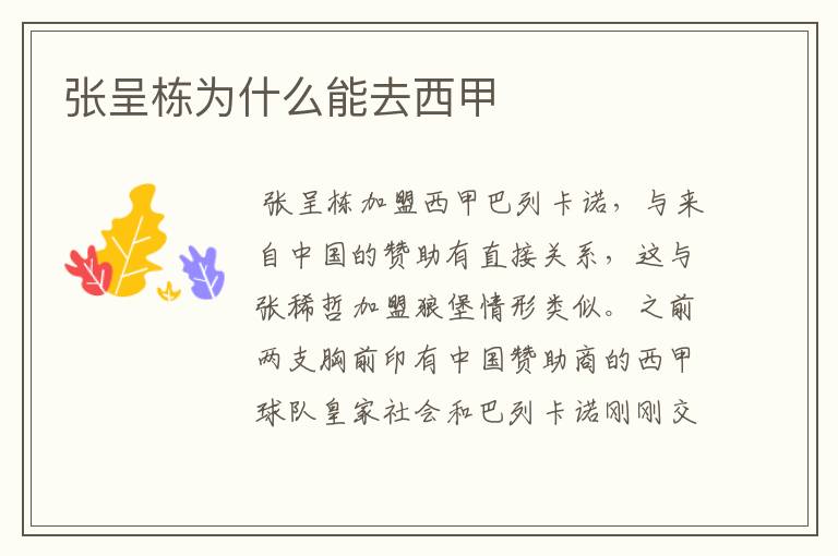 张呈栋为什么能去西甲