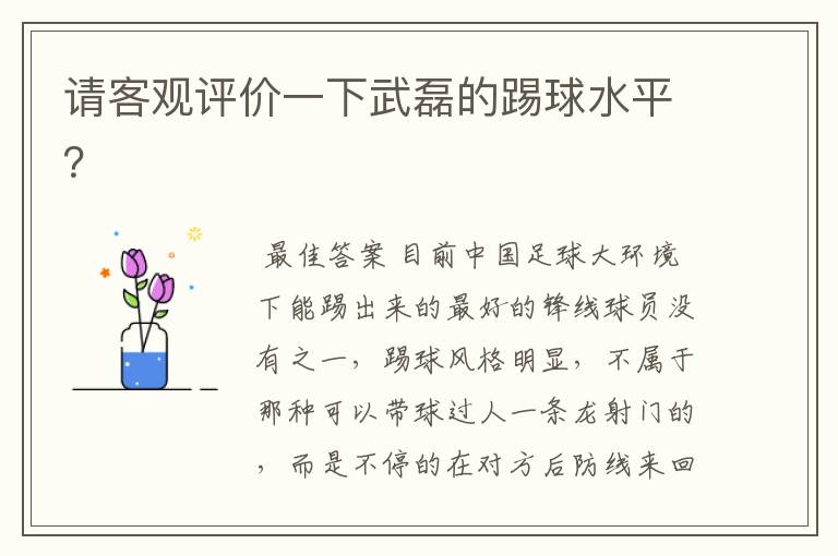请客观评价一下武磊的踢球水平?