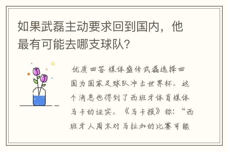 如果武磊主动要求回到国内,他最有可能去哪支球队?