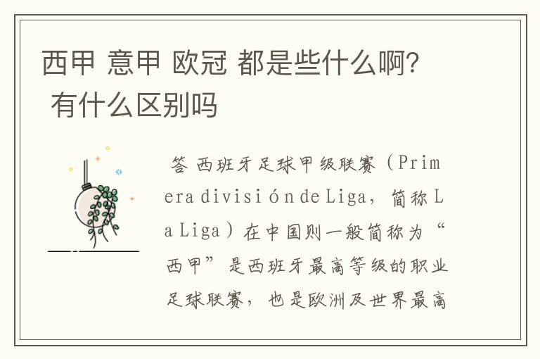 西甲 意甲 欧冠 都是些什么啊? 有什么区别吗