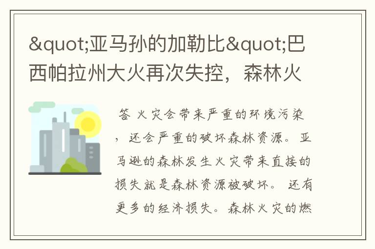 "亚马孙的加勒比"巴西帕拉州大火再次失控,森林火灾会带来什么危害?