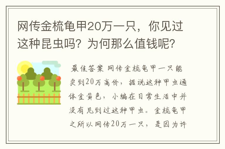网传金梳龟甲20万一只,你见过这种昆虫吗?为何那么值钱呢?